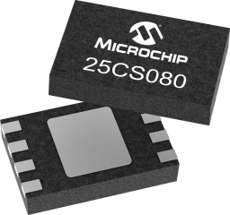 25CS080