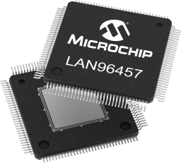 LAN96457-8MW-FlipFlop2.png