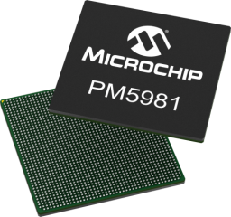 PM5981-7KC-FlipFlop2.png
