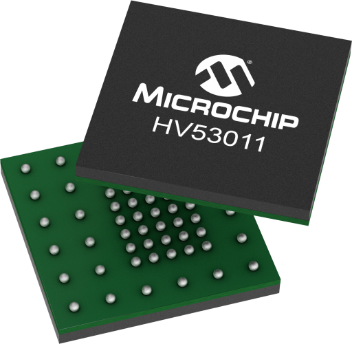 HV53011-KVX-FlipFlop2.png