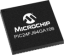 PIC24FJ64GA106-R4X-Regular.png