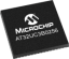 AT32UC3B0256-TPB-Regular.png