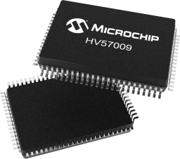 HV57009-U7X-FlipFlop2.png