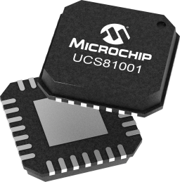 UCS81001-PVX-FlipFlop2.png