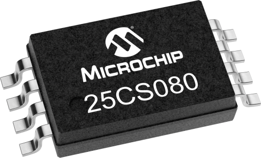 25CS080
