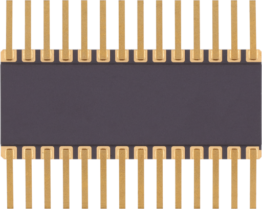210128-MSLD-PHOTO-LX7714-Back-Transparent.png