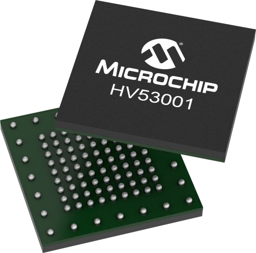 HV53001-KWX-FlipFlop2.png
